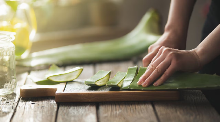 Conozca los beneficios que tiene el aloe vera para la salud