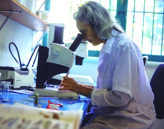 Venezolanos estudian impacto del microplástico en las aves playeras