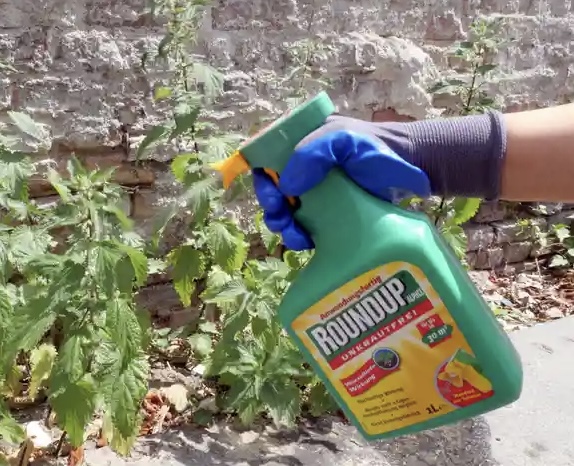 UE no logra acuerdo para extender el uso del glifosato