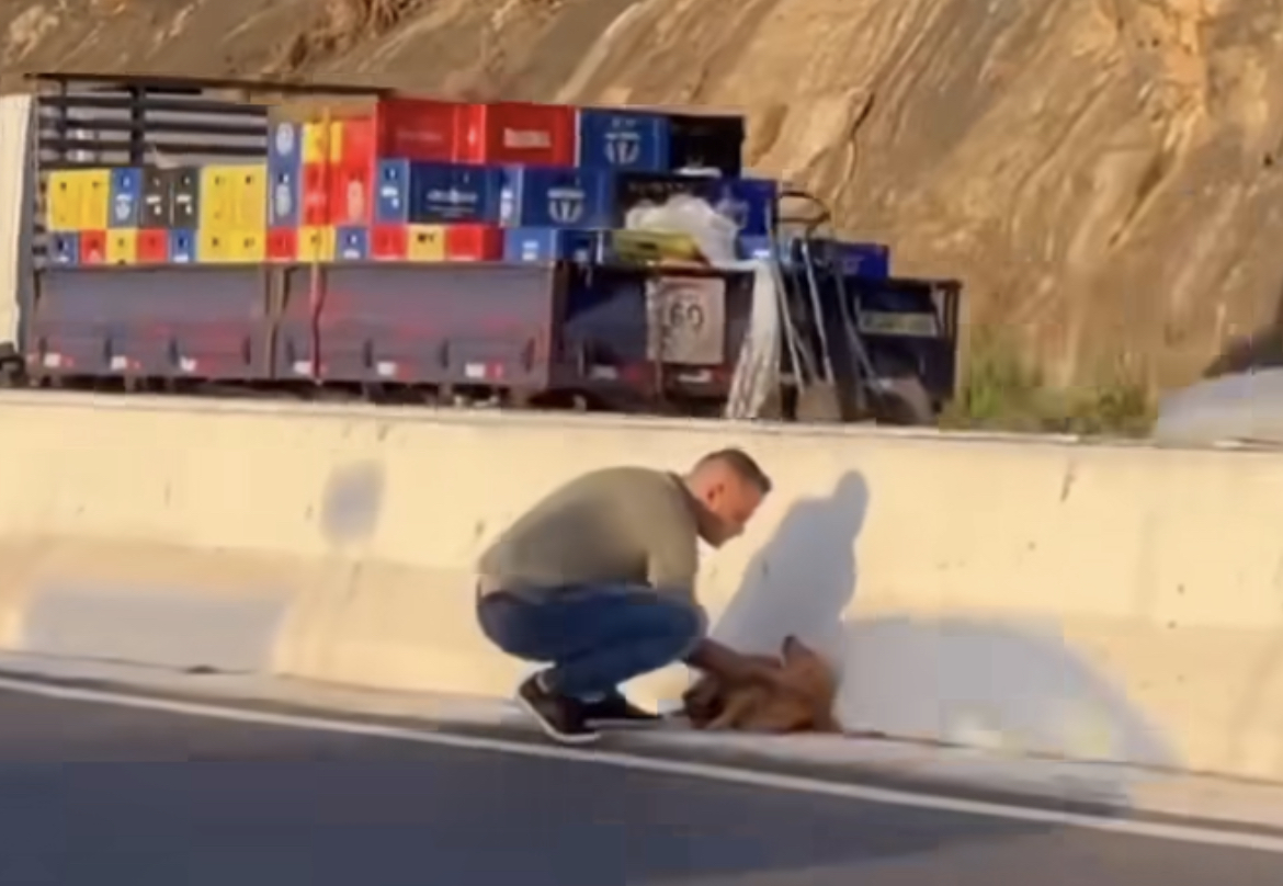 ¡Héroe sin capa! Un hombre salvó a un perrito de ser atropellado (+ Video)