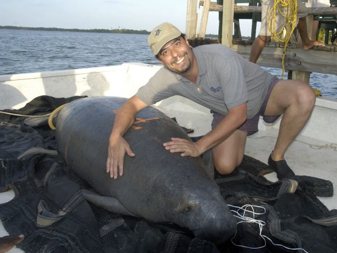 Estudio de científico del IVIC demuestra cómo aumentar la biodiversidad