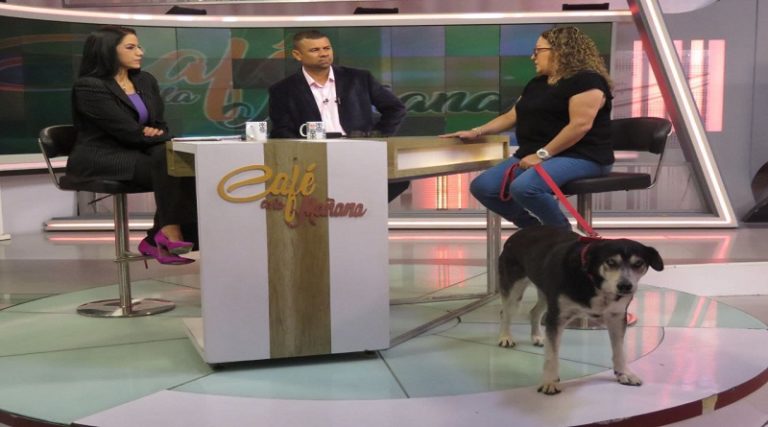 Misión Nevado fortalece protección de animales en territorio nacional