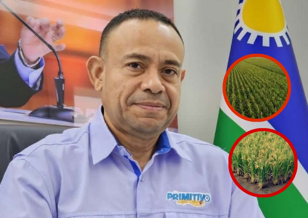 Portuguesa se destaca como el estado con mayor producción de alimentos para todo el país (+ Detalles)