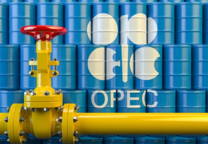 La OPEP indica que Asia Oriental, Asia Occidental y África impulsan expansiones de refinerías hasta 2028