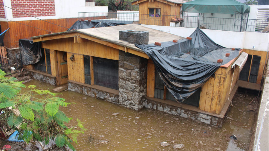 El gobierno de Perú prorroga el estado de emergencia en 18 regiones para prevenir El Niño