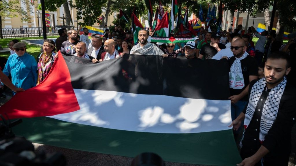 Miles de personas participan en concentraciones propalestinas prohibidas en Francia