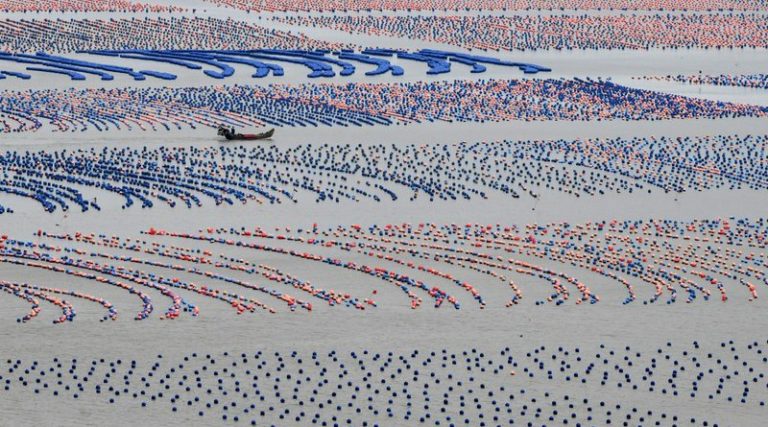 Inauguran Conferencia Mundial de Equipos Marinos en Fujian