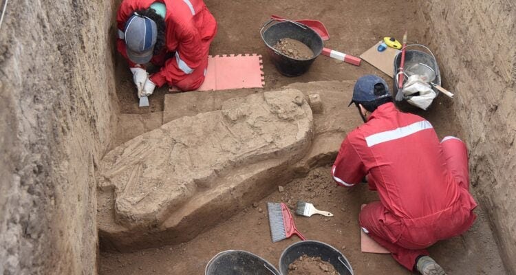 Un hallazgo asombroso en el metro de Chile: encontraron restos fósiles de hace 13.000 años