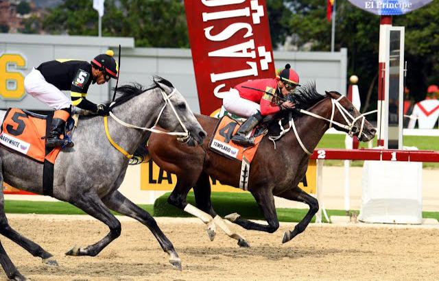 Falta poco para la Serie hípica del Caribe 2023: estos son los venezolanos que participarán (+ Detalles)