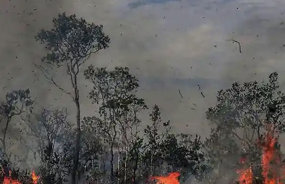 Detenidos en Bolivia por incendiar tres reservas naturales