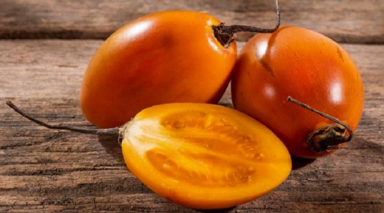 Consumo de jugo de tomate de árbol ayuda a prevenir la anemia