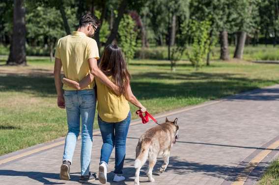 En Barranquilla roban mascotas para luego extorsionar a sus cuidadores