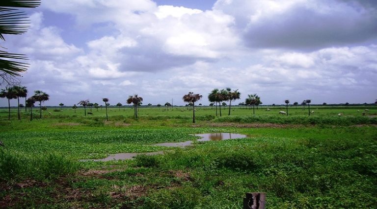 Mintur evalúa ruta turística de Guárico para validar su potencial
