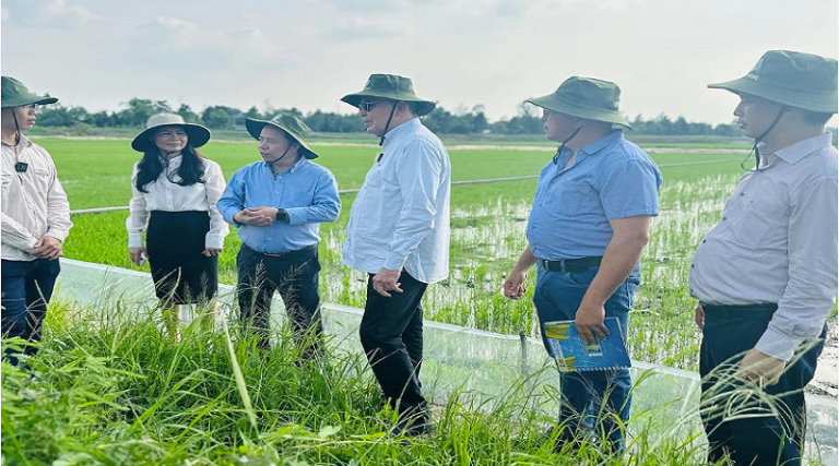 Venezuela y Vietnam evalúan intercambio de experiencias en cultivo de arroz