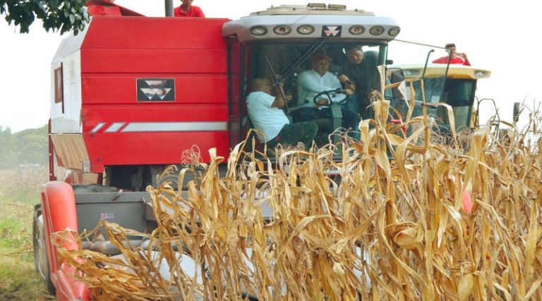 Guárico consolida producción de cereales y leguminosas en ciclo invierno 2023
