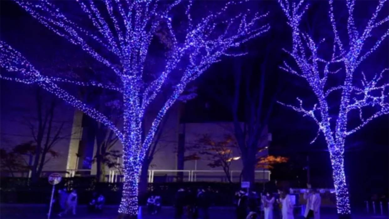 Ministerio de Cultura anunció actividades para esta época navideña en Caracas