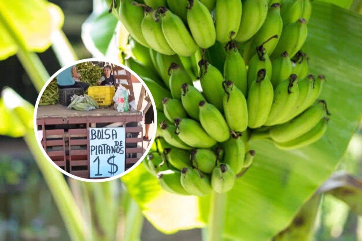 ¡Súper barato! Abundan ofertas como esta en Venezuela | Entérate de los detalles (+ Video)