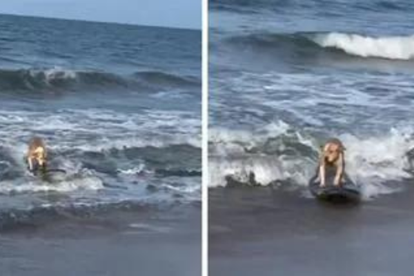 Captan a perro surfeando como todo un profesional en playas de La Guajira colombiana (+Video)