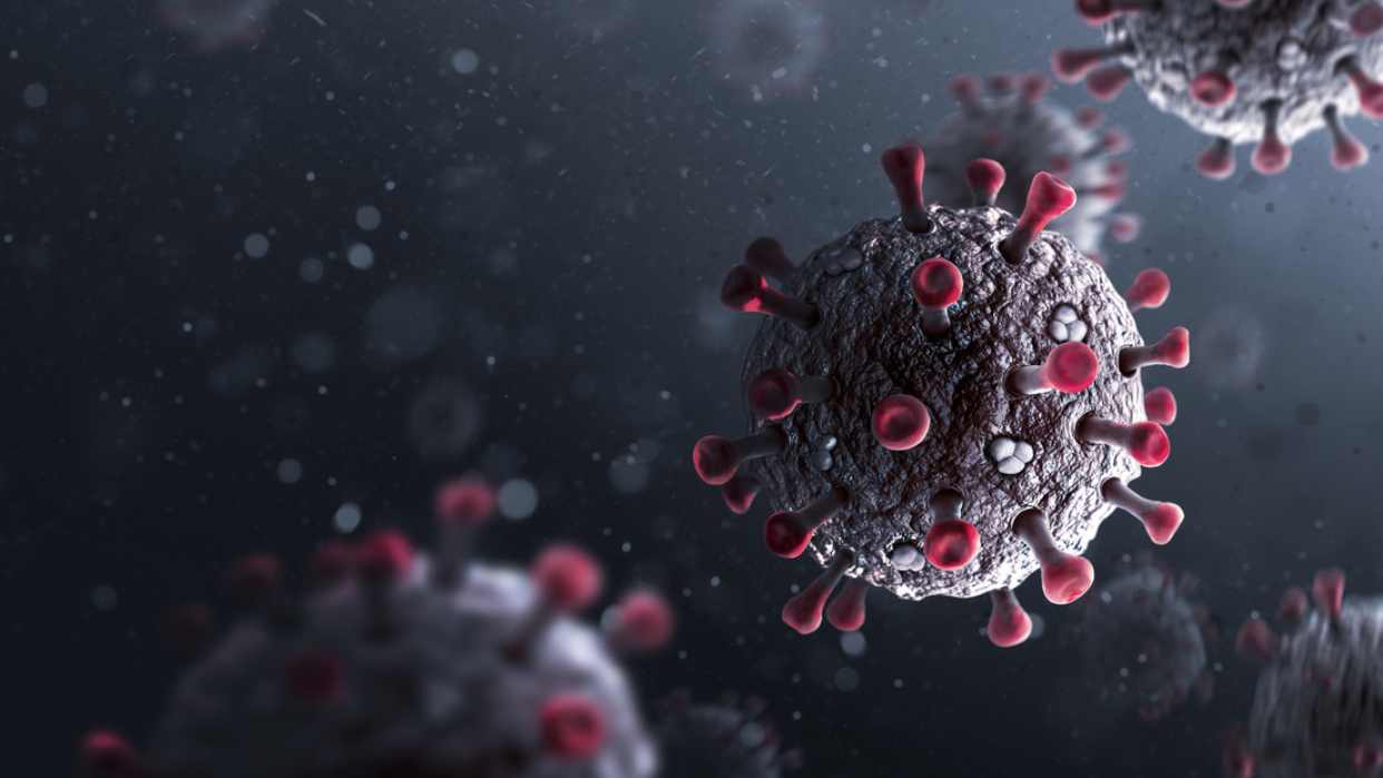 La OMS reveló qué significa el término ‘enfermedad X’