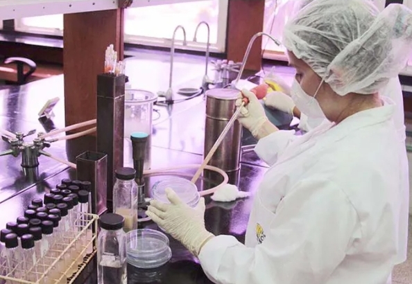 Científicos venezolanos evalúan potencial de la parchita y el nogal para elaborar productos de calidad nutricional