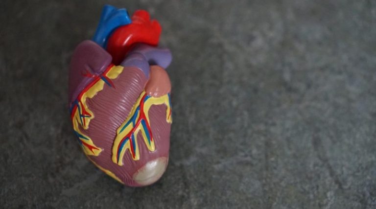 Identifican gen causante de defectos cardíacos en personas con Síndrome de Down