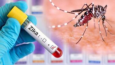 Virus del zika podría servir para reducir un tipo de cáncer infantil