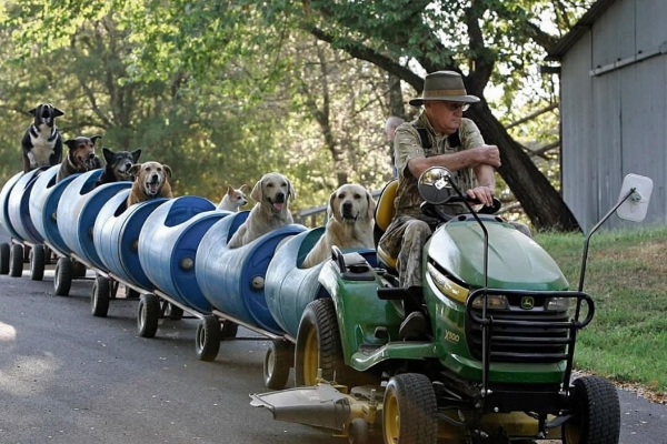 Hombre de 80 años construye un tren para llevar de paseo a los perritos callejeros (+ Video)