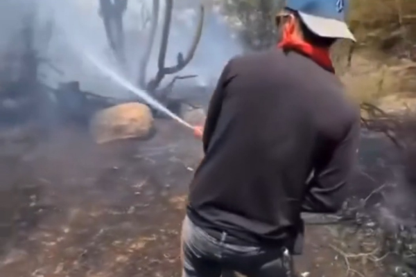 «Hoy logramos salvar casas» venezolanos ayudaron a apagar incendios en Chile (+ Video)