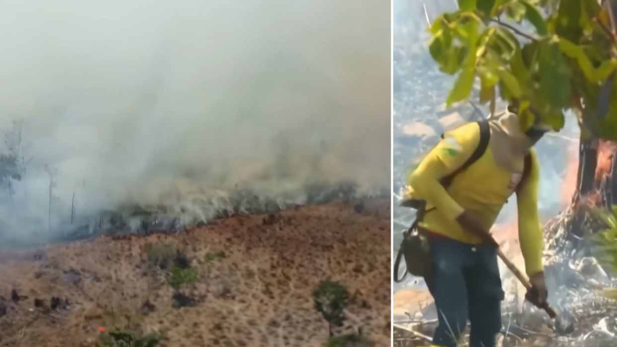 Casas, animales y vegetación en llamas: el estado amazónico azotado por incendios en Brasil