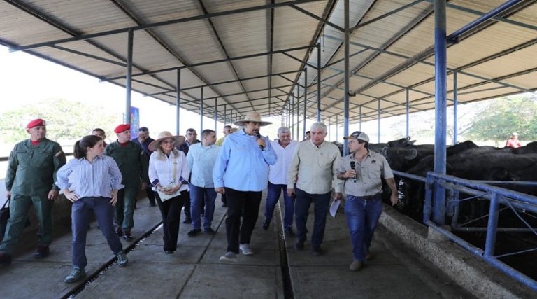 Gobierno de Venezuela estima alcanzar la meta del ocho por ciento del PIB en el 2024