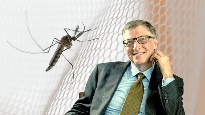 Conozca el proyecto “mosquitos contra mosquitos” que impulsa Bill Gates para actuar contra el dengue