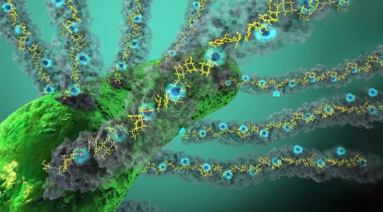 Científicos descubrieron una proteína capaz de generar red eléctrica bajo tierra