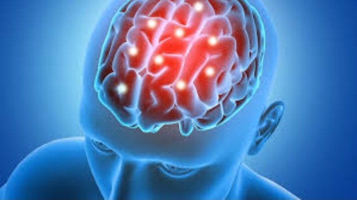 Organoide cerebral: herramienta para la neurociencia