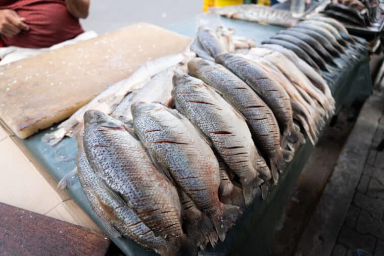 Donan más de 3.000 kg de pescado a comunidades de Falcón