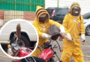Un enjambre de abejas se instaló en una motocicleta estacionada en La concordia, expertos acudieron al lugar