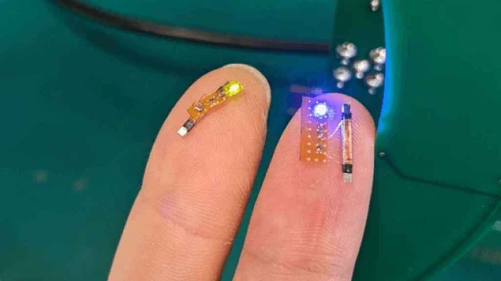 Empresa Starfish Neuroscience presentó chip cerebral del tamaño de una uña