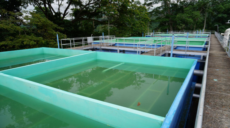 Instalaron el sistema eléctrico en planta potabilizadora de agua en Mucujepe