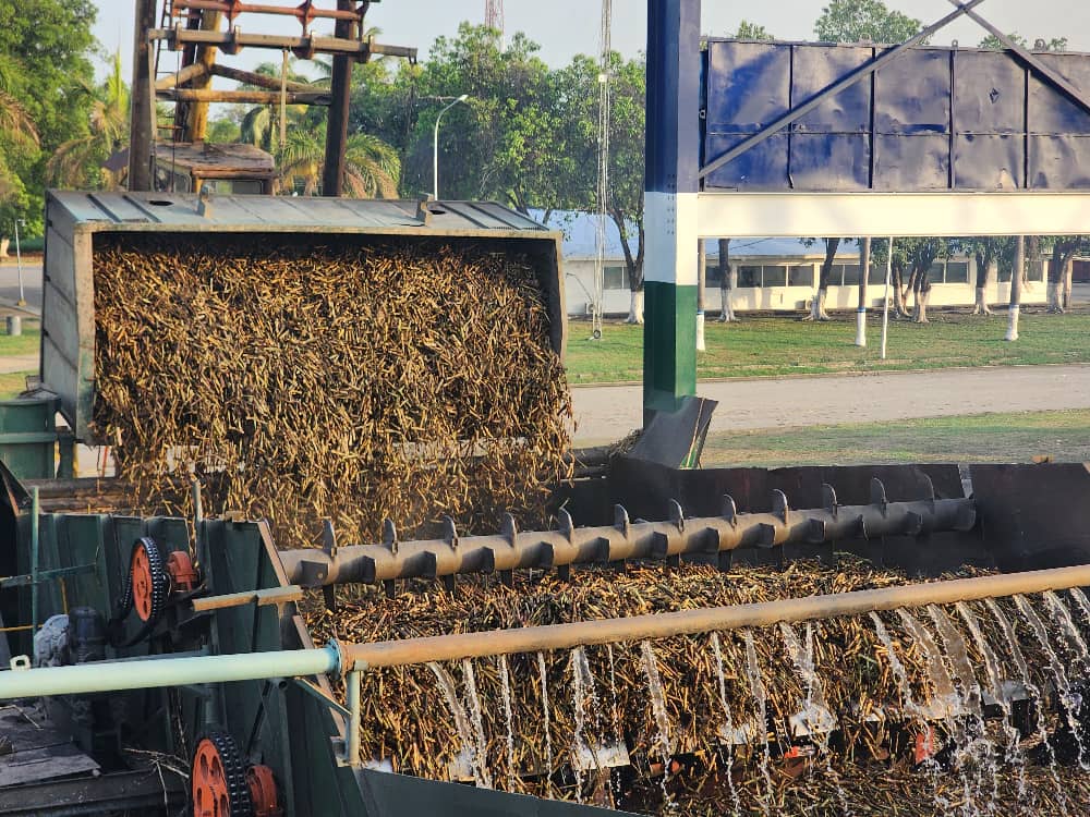 ¡Récord! En Portuguesa molieron más de 500 mil toneladas de caña (+ Video)