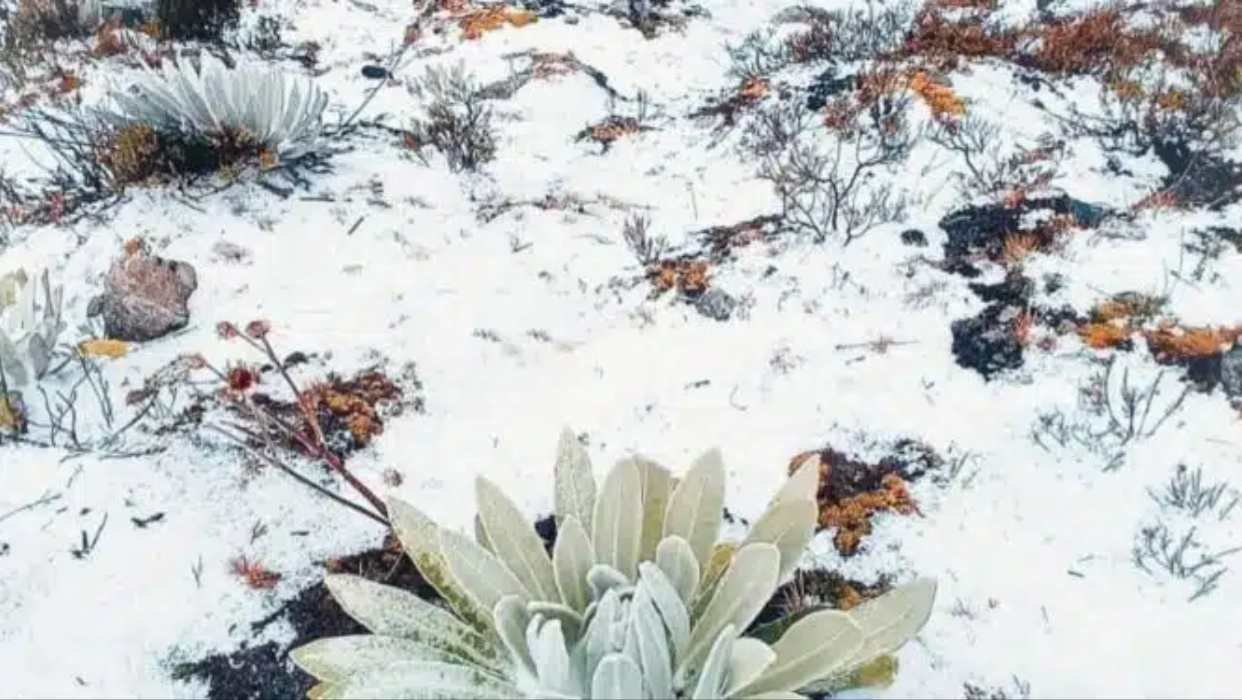 Nevó en la estación Loma Redonda del teleférico de Mérida