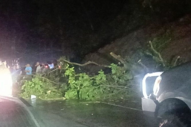 Lluvias dejan árboles caídos en la Autopista Regional del Centro