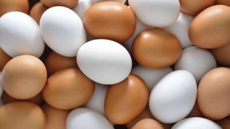 Estudio revela que comer huevo no afecta ni el colesterol ni el corazón