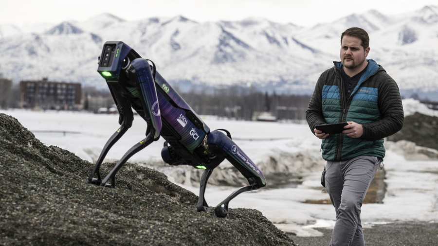 Un aeropuerto de EEUU usará un perro robot para mantener a las aves alejadas de la pista de aterrizaje
