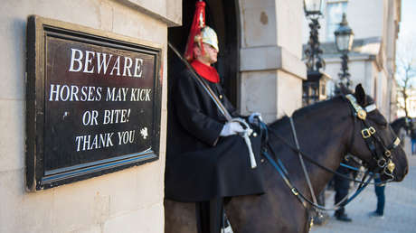 Caballo de la Guardia real británica muerde a una turista (+ Video)