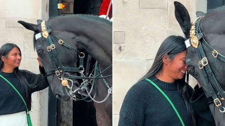 Conexión instantánea entre una mujer y un caballo enternece la red (+ Video)