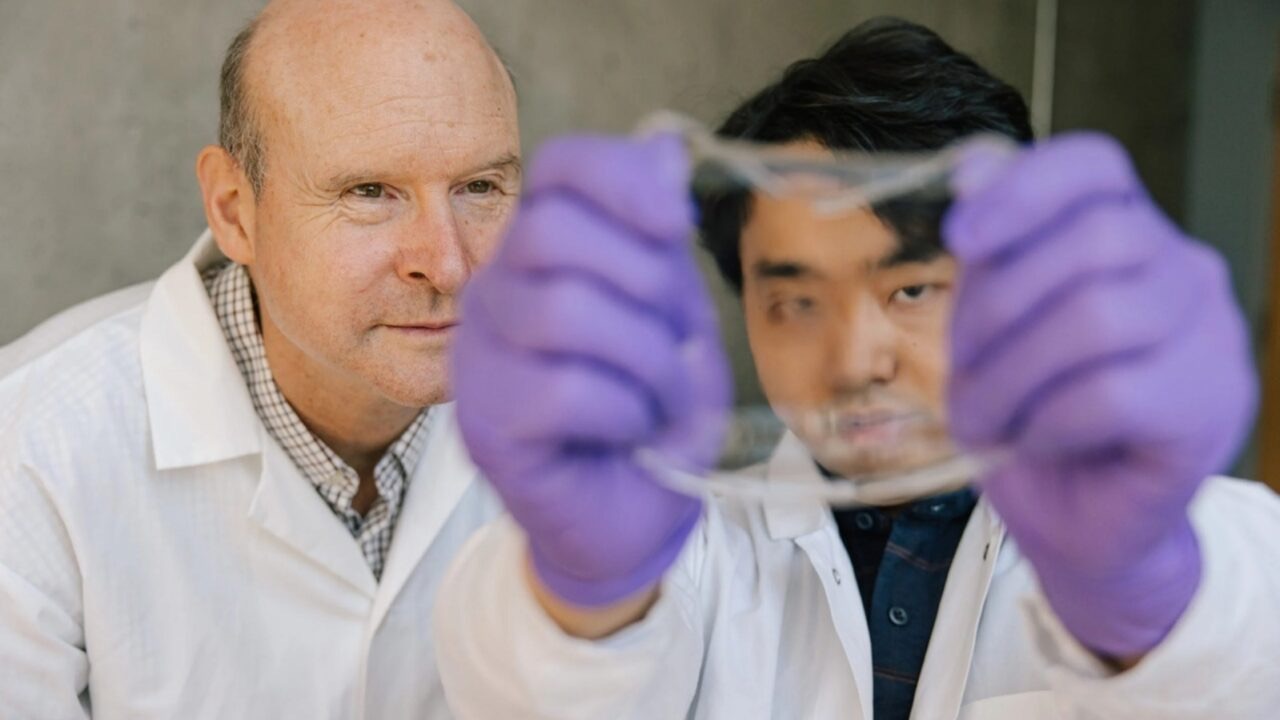 Científicos chinos crean piel electrónica que resiste el frío extremo hasta -78 grados