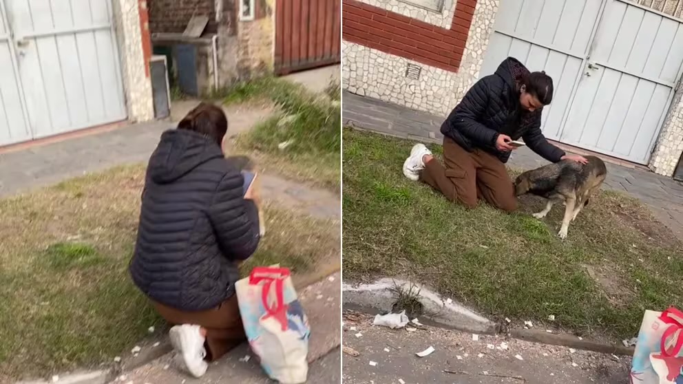 Viajaba en moto y encontró a su perro que estaba perdido hace tres años (+ Video)