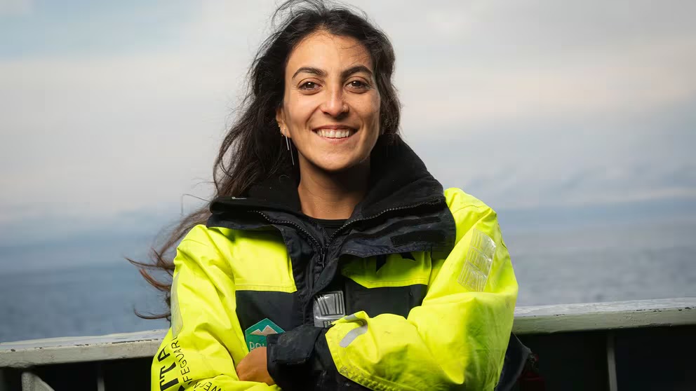 Estrellas de mar en el Ártico: la aventura científica de la bióloga argentina que estudia las especies más desconocidas