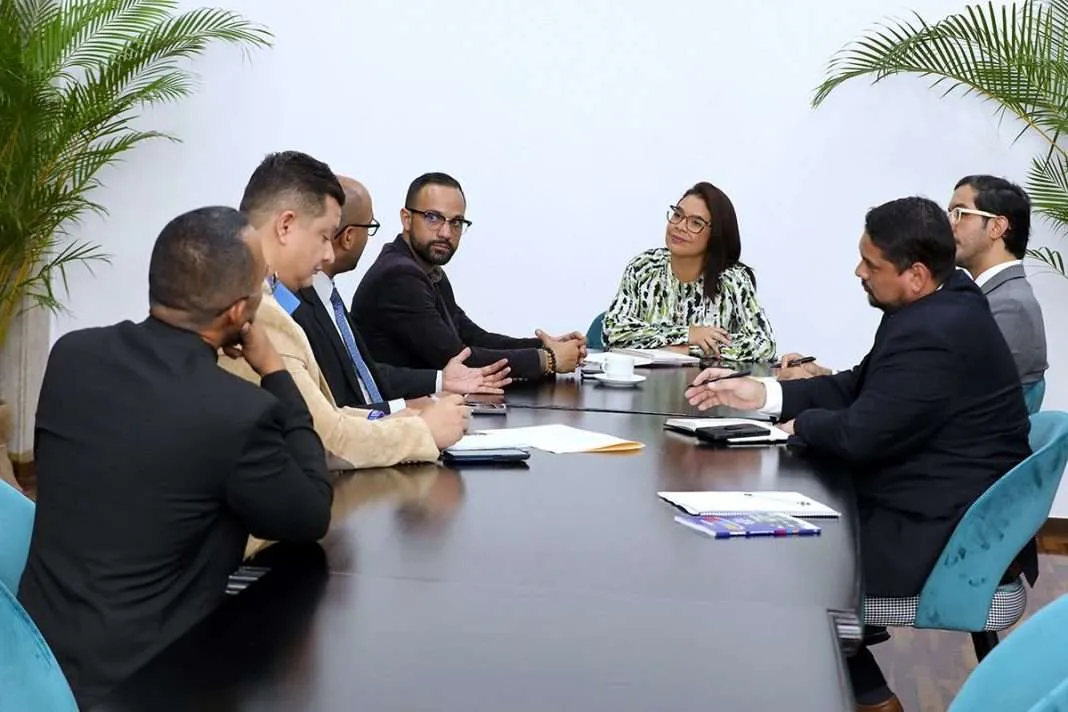 TSJ y AN analizan importancia de sistematización de procesos judiciales