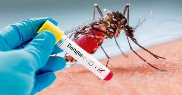 Paraguay suma 1.297 casos confirmados de dengue en las últimas tres semanas