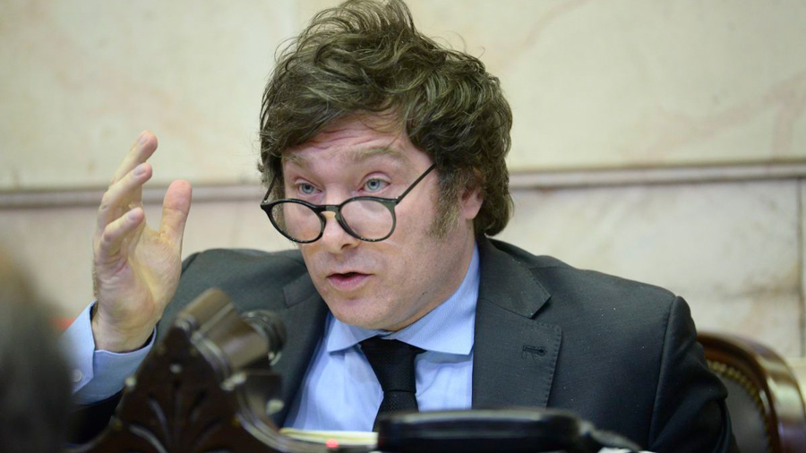 Gobierno de Milei envía al Congreso un proyecto para legalizar la tenencia de armâs